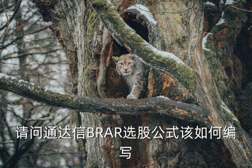 股票中brar