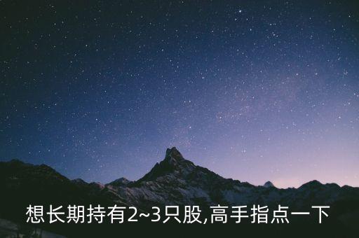 想長期持有2~3只股,高手指點(diǎn)一下