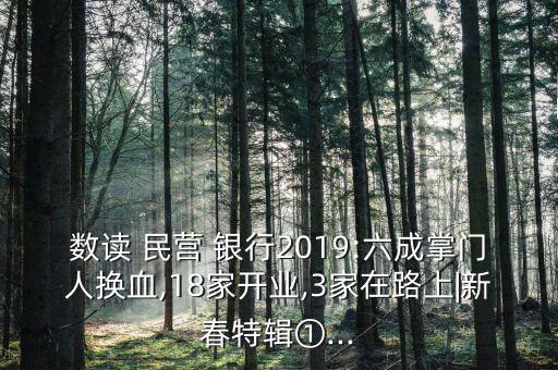 數(shù)讀 民營 銀行2019:六成掌門人換血,18家開業(yè),3家在路上|新春特輯①...