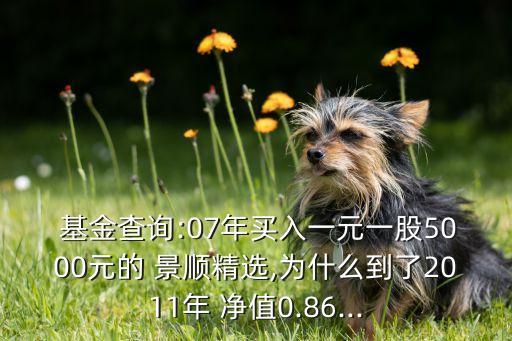  基金查詢:07年買入一元一股5000元的 景順精選,為什么到了2011年 凈值0.86...