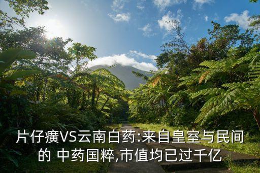 片仔癀VS云南白藥:來(lái)自皇室與民間的 中藥國(guó)粹,市值均已過(guò)千億