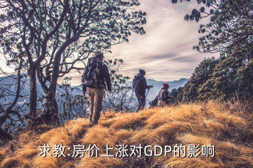 房地產(chǎn)投資與gdp關(guān)系綜述,每一元房地產(chǎn)投資帶動gdp