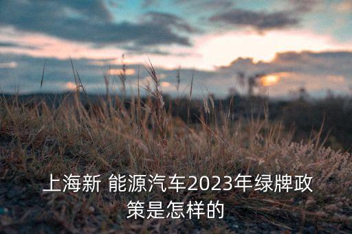  上海新 能源汽車2023年綠牌政策是怎樣的