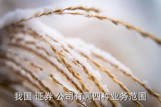 我國(guó) 證券 公司有哪四種業(yè)務(wù)范圍