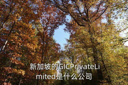  新加坡的GICPrivateLimited是什么公司