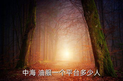 中海 油服一個(gè)平臺(tái)多少人