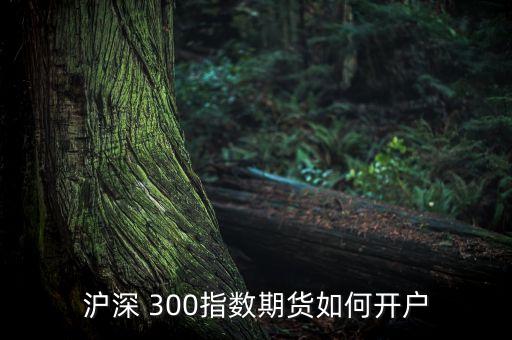 滬深 300指數期貨如何開戶