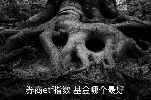 券商etf指數(shù) 基金哪個(gè)最好