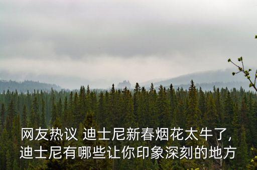 網(wǎng)友熱議 迪士尼新春煙花太牛了, 迪士尼有哪些讓你印象深刻的地方