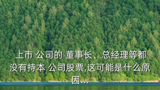  上市 公司的 董事長(zhǎng)、總經(jīng)理等都沒(méi)有持本 公司股票,這可能是什么原因...