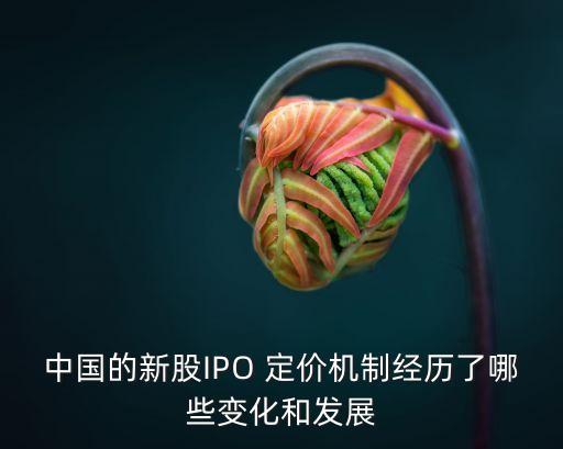 中國的新股IPO 定價(jià)機(jī)制經(jīng)歷了哪些變化和發(fā)展