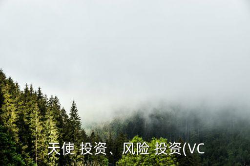  天使 投資、風(fēng)險(xiǎn) 投資(VC