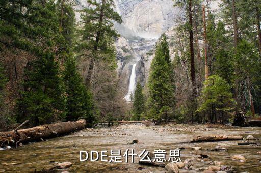 股票里dde是什么意思,Dde是什么意思