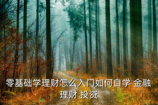 零基礎(chǔ)學(xué)理財怎么入門如何自學(xué) 金融理財 投資