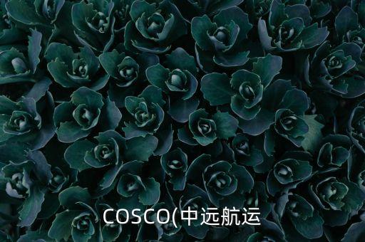 COSCO(中遠航運