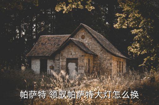 帕薩特 領馭帕薩特大燈怎么換