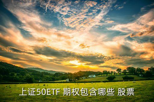 上證50ETF 期權包含哪些 股票