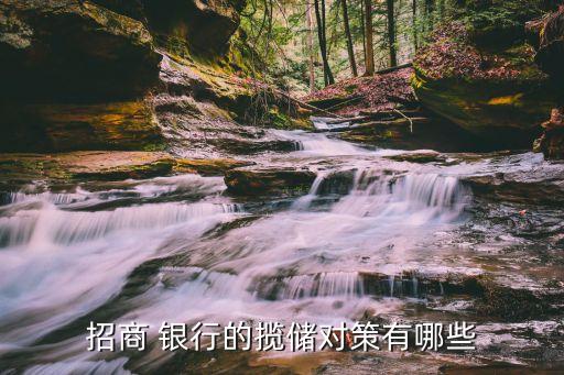 招商 銀行的攬儲(chǔ)對(duì)策有哪些