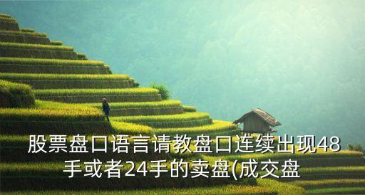  股票盤口語言請教盤口連續(xù)出現(xiàn)48手或者24手的賣盤(成交盤