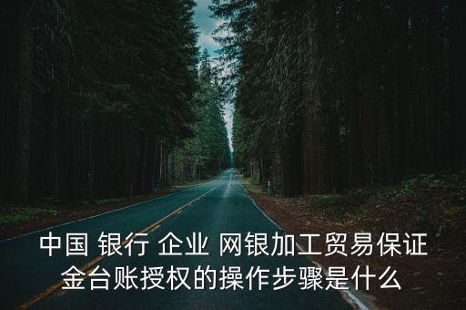 中國 銀行 企業(yè) 網(wǎng)銀加工貿(mào)易保證金臺賬授權(quán)的操作步驟是什么