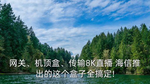 網(wǎng)關、機頂盒、傳輸8K直播 海信推出的這個盒子全搞定!