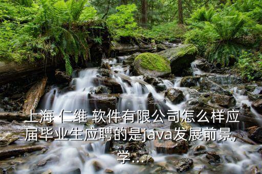  上海 仁維 軟件有限公司怎么樣應(yīng)屆畢業(yè)生應(yīng)聘的是java發(fā)展前景,學(xué)...