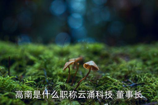 高南是什么職稱云涌科技 董事長(zhǎng)