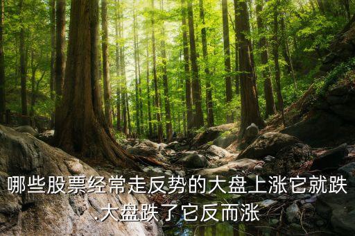 上證指數康美藥業(yè)公司,康美藥業(yè)公司治理問題研究