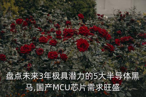 盤點未來3年極具潛力的5大半導(dǎo)體黑馬,國產(chǎn)MCU芯片需求旺盛