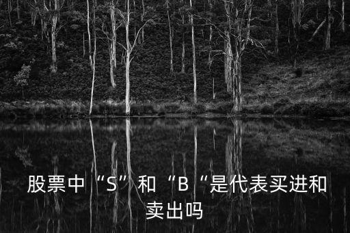  股票中“S”和“B“是代表買(mǎi)進(jìn)和賣(mài)出嗎