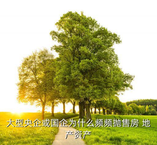 大型央企或國企為什么頻頻拋售房 地產(chǎn)資產(chǎn)