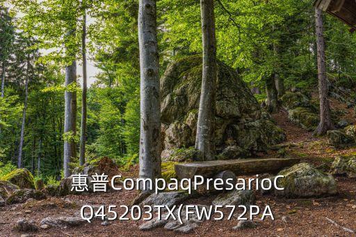 惠普CompaqPresarioCQ45203TX(FW572PA