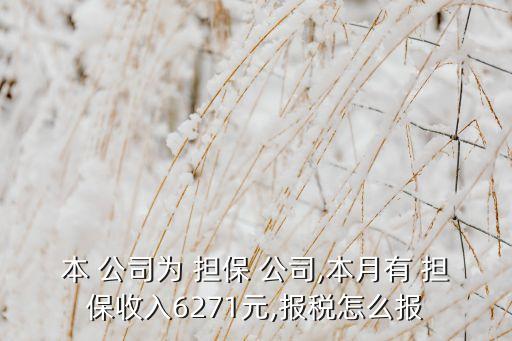 本 公司為 擔(dān)保 公司,本月有 擔(dān)保收入6271元,報(bào)稅怎么報(bào)