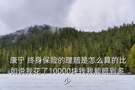  康寧 終身保險(xiǎn)的理賠是怎么算的比如說我花了10000塊錢我能賠到多少