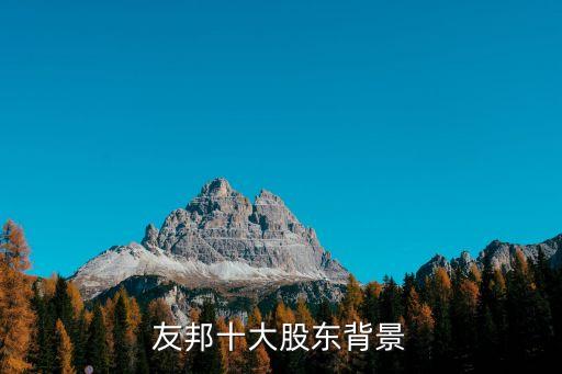 友邦十大股東背景