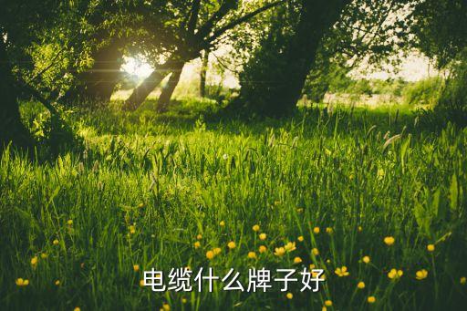 杭州萬(wàn)錦榮線纜有限公司,杭州德福線纜有限公司怎么樣