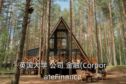 英國大學(xué) 公司 金融(CorporateFinance