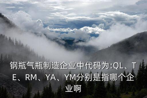 鋼瓶氣瓶制造企業(yè)中代碼為:QL、TE、RM、YA、YM分別是指哪個企業(yè)啊