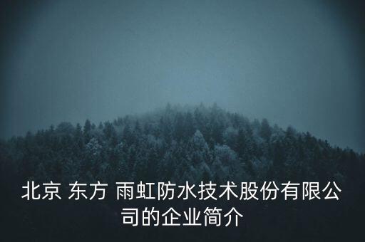 北京 東方 雨虹防水技術(shù)股份有限公司的企業(yè)簡介