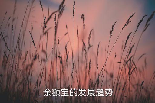  余額寶的發(fā)展趨勢(shì)