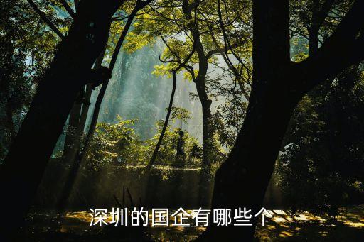 深圳的國(guó)企有哪些個(gè)