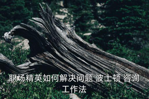 波士頓咨詢公司網(wǎng)絡(luò),bcg波士頓咨詢公司