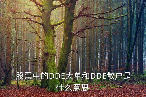  股票中的DDE大單和DDE散戶(hù)是什么意思