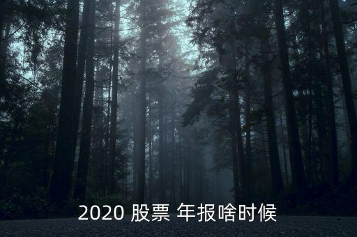 2020 股票 年報啥時候