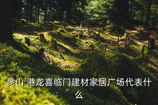 昆山 港龍喜臨門(mén)建材家居廣場(chǎng)代表什么