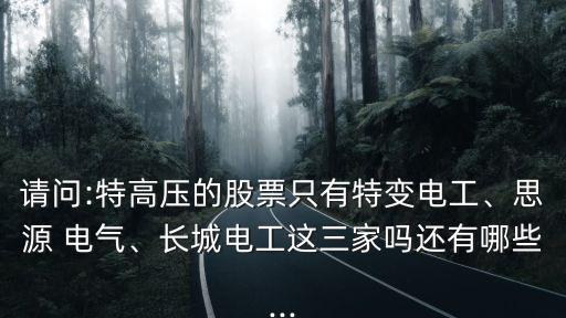 請(qǐng)問(wèn):特高壓的股票只有特變電工、思源 電氣、長(zhǎng)城電工這三家嗎還有哪些...