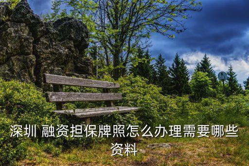 深圳 融資擔(dān)保牌照怎么辦理需要哪些資料