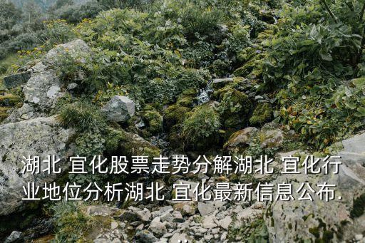 湖北 宜化股票走勢(shì)分解湖北 宜化行業(yè)地位分析湖北 宜化最新信息公布...