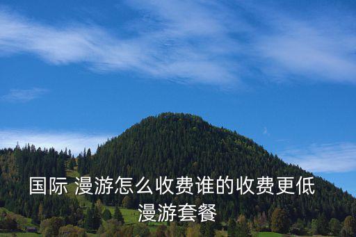 國(guó)際 漫游怎么收費(fèi)誰(shuí)的收費(fèi)更低  漫游套餐