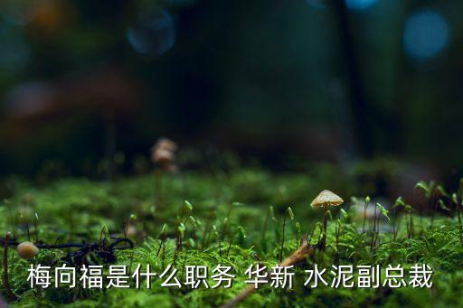 梅向福是什么職務(wù) 華新 水泥副總裁